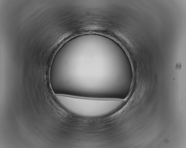 X0000091491305200708161202