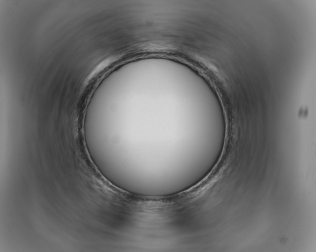 X0000091491306200708161202