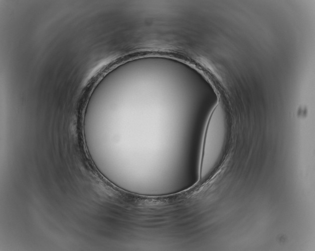 X0000091491307200708161202