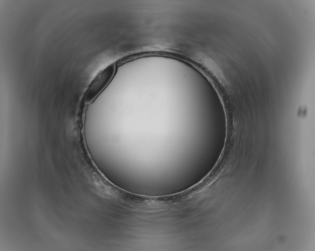 X0000091491308200708161202