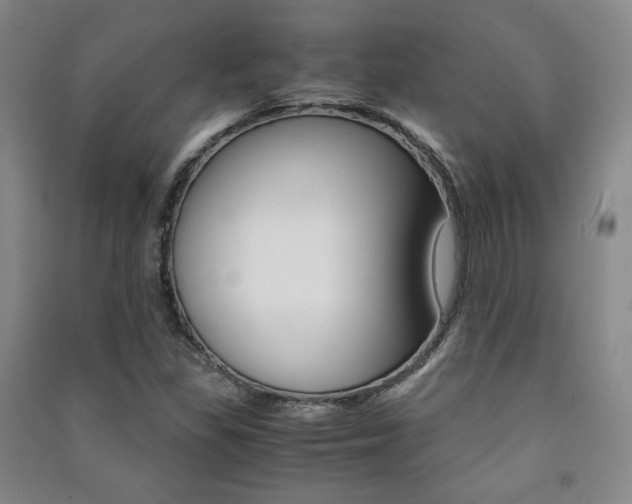 X0000091491309200708161202