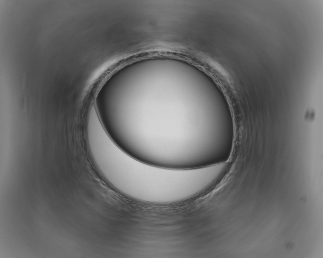 X0000091491310200708161202