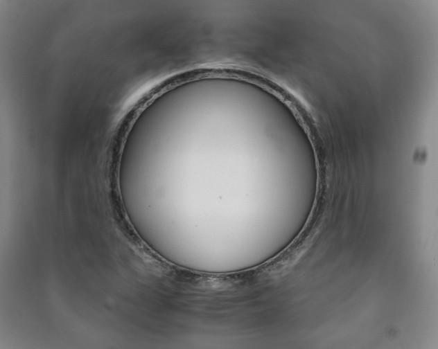 X0000091491311200708161202