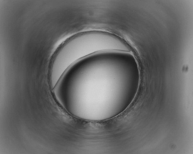 X0000091491312200708161202