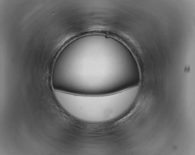 X0000091491313200708161202