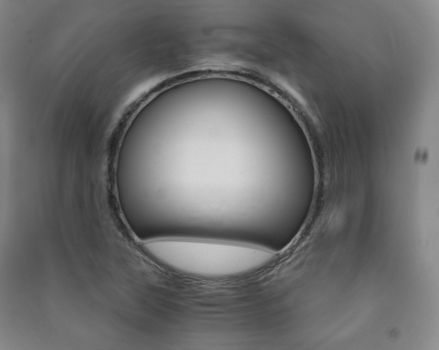 X0000091491315200708161202