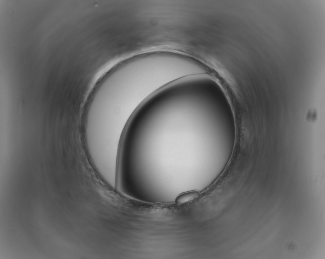 X0000091491316200708161202