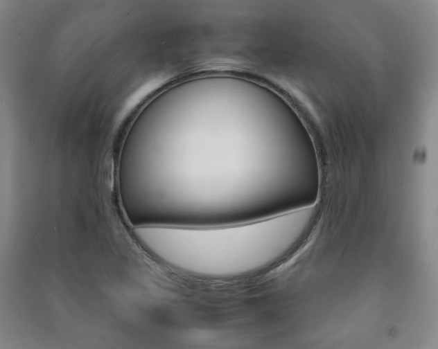 X0000091491317200708161202
