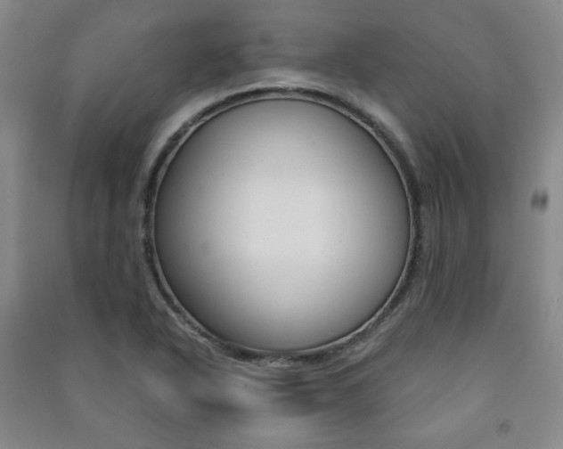 X0000091491318200708161202
