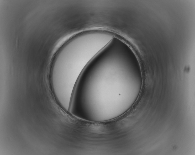 X0000091491319200708161202