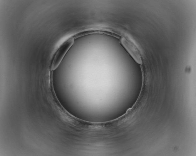 X0000091491320200708161202