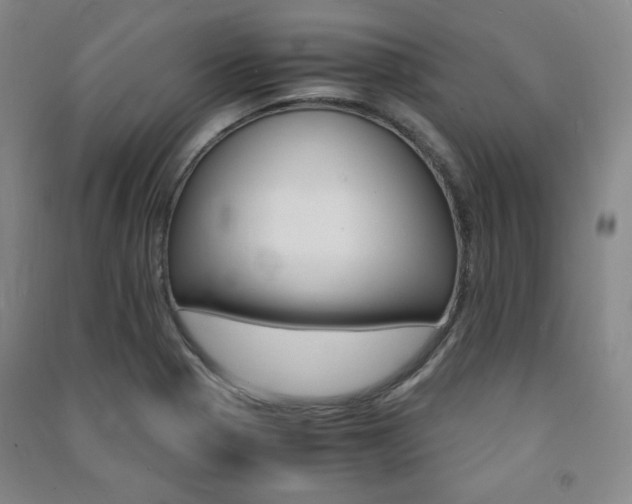 X0000091491321200708161202