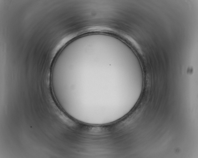 X0000091491322200708161202
