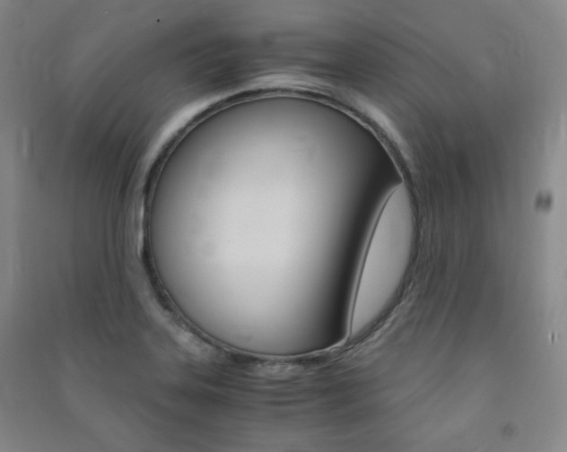 X0000091491323200708161202