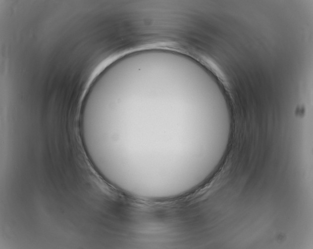X0000091491324200708161202