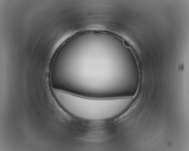 X0000091491325200708161202