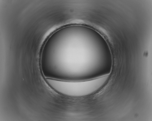 X0000091491326200708161202