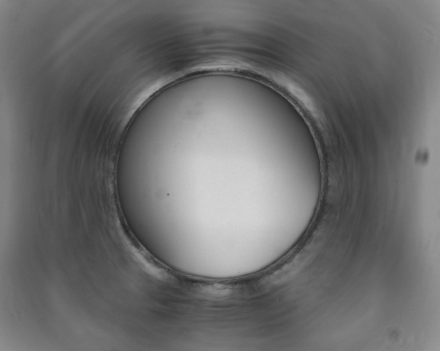 X0000091491329200708161202