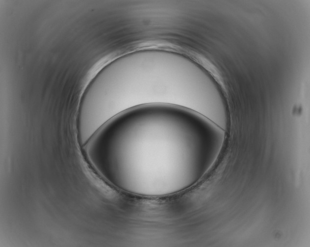 X0000091491330200708161202