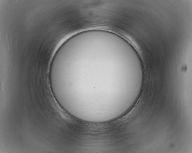 X0000091491332200708161202