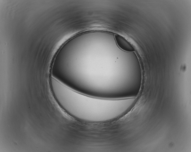 X0000091491333200708161202