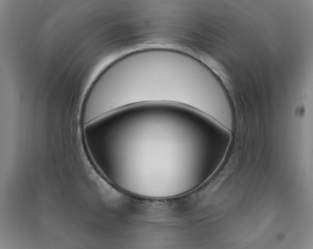 X0000091491334200708161202