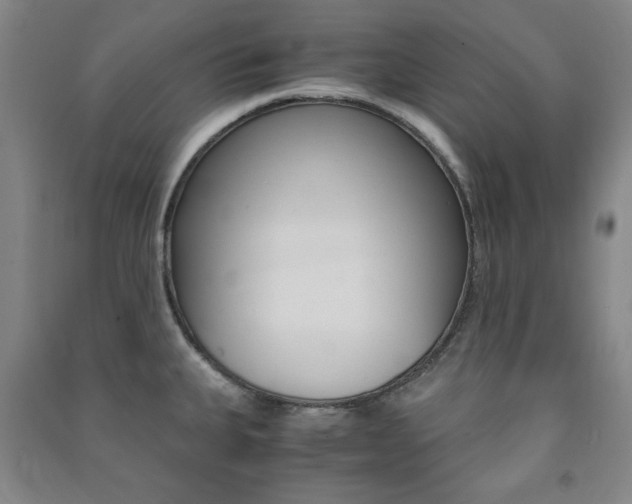 X0000091491335200708161202