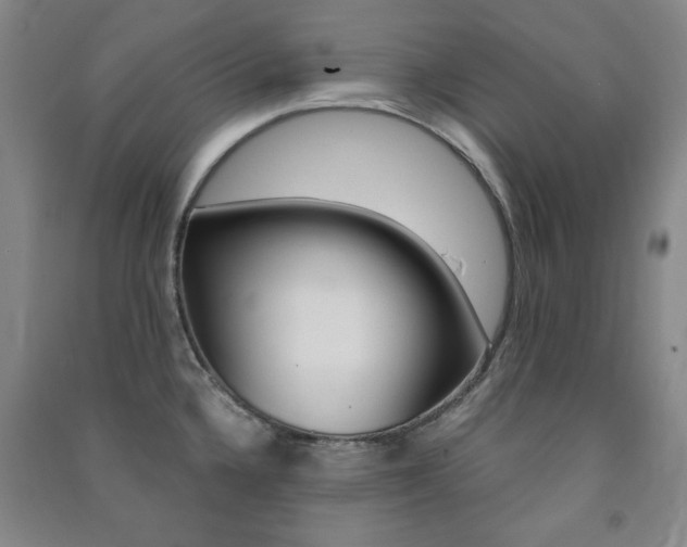 X0000091491336200708161202