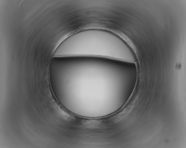X0000091491337200708161202