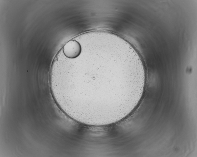 X0000091491338200708161202