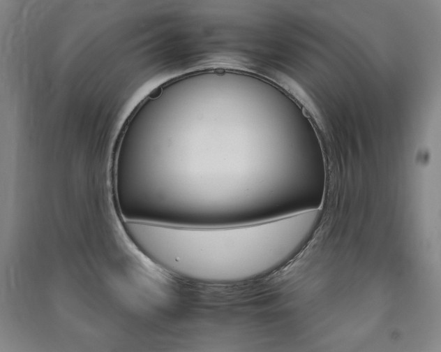 X0000091491339200708161202