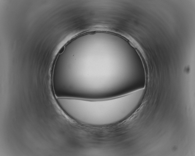 X0000091491341200708161202