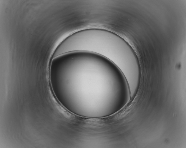 X0000091491342200708161203
