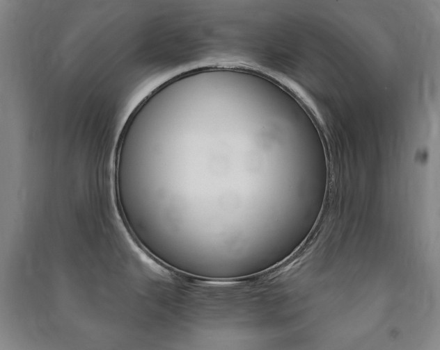 X0000091491343200708161203