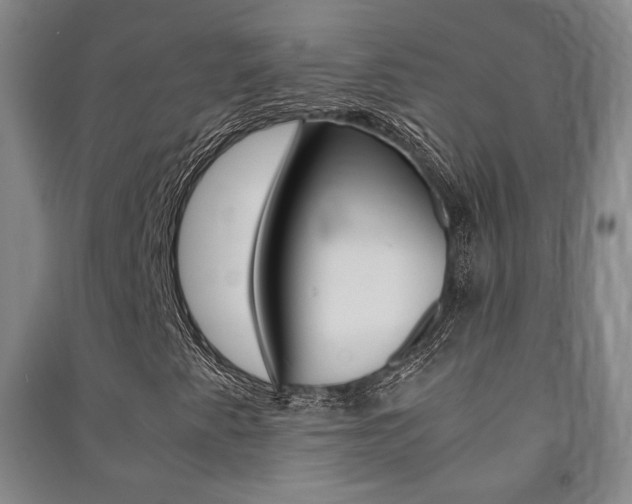 X0000091491345200708161202