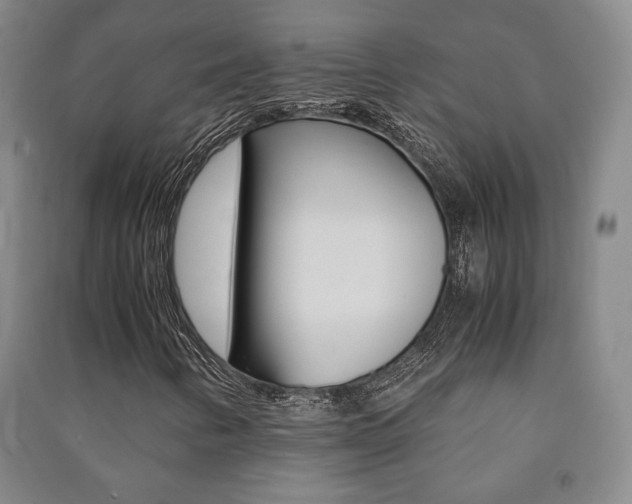 X0000091491346200708161202