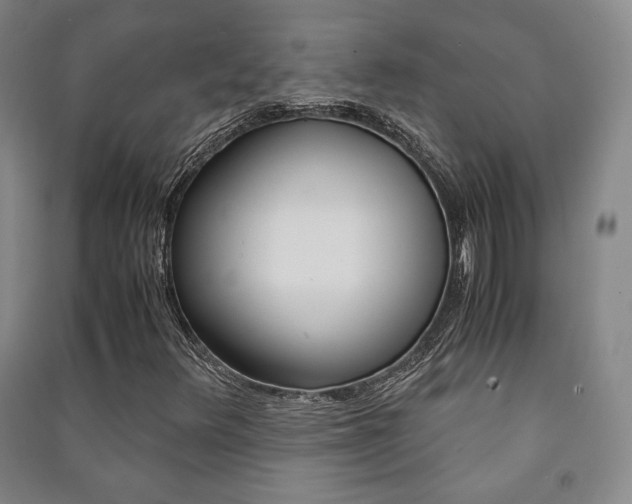 X0000091491348200708161202