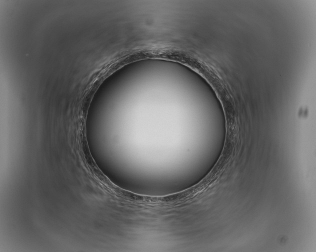 X0000091491349200708161202