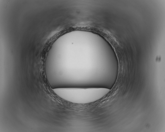 X0000091491350200708161202