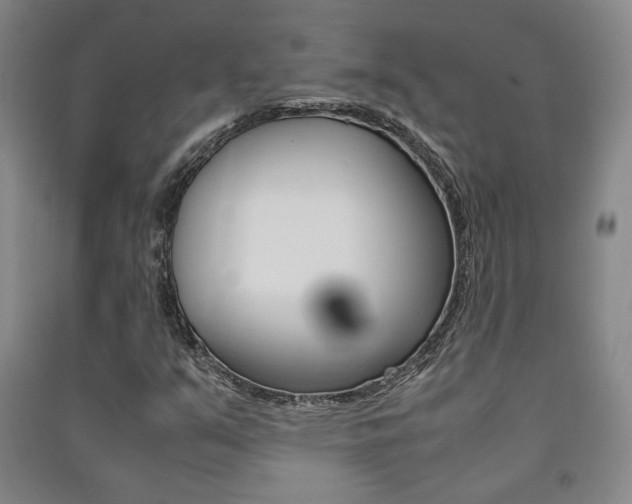 X0000091491351200708161202