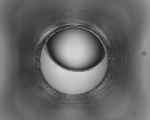 X0000091491352200708161202