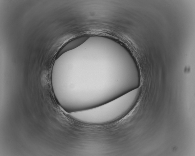 X0000091491353200708161202