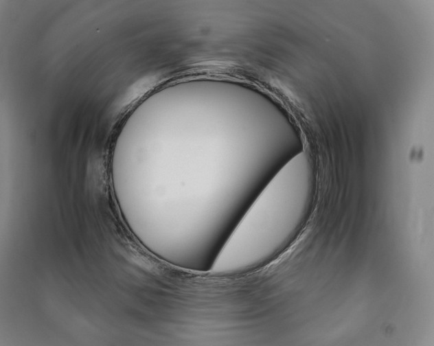 X0000091491354200708161202