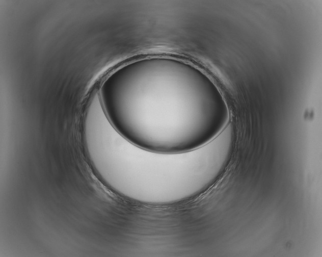 X0000091491356200708161202