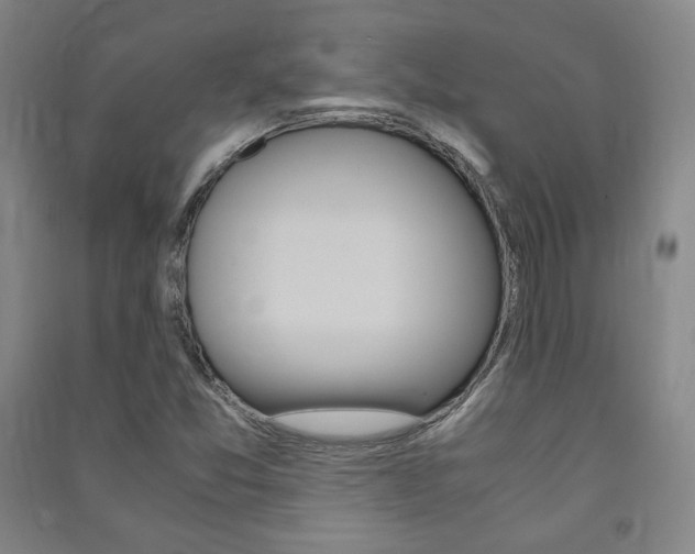 X0000091491357200708161202