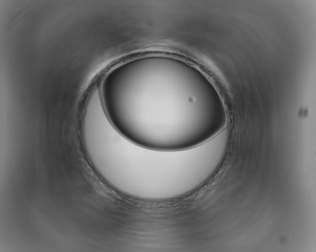 X0000091491360200708161202