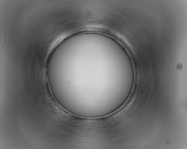 X0000091491362200708161202