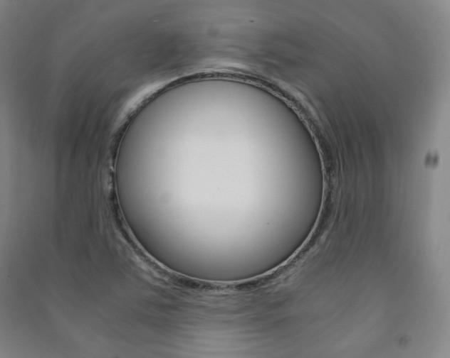 X0000091491363200708161202