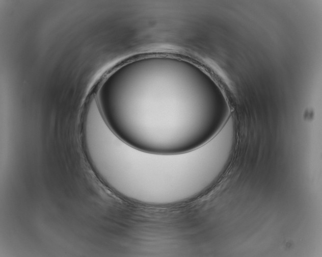 X0000091491364200708161202
