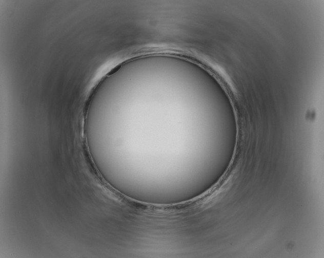 X0000091491365200708161202